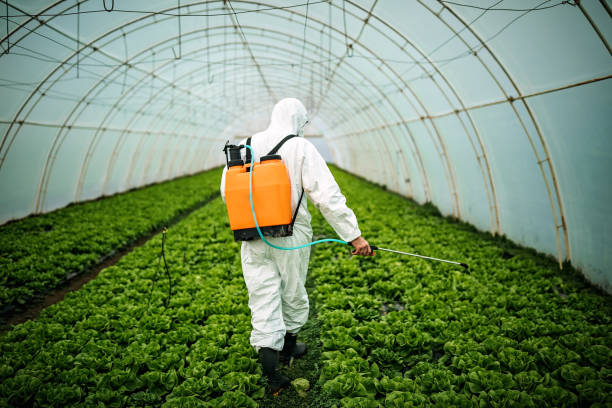 Professional Pest Control in Johnson Lane, NV