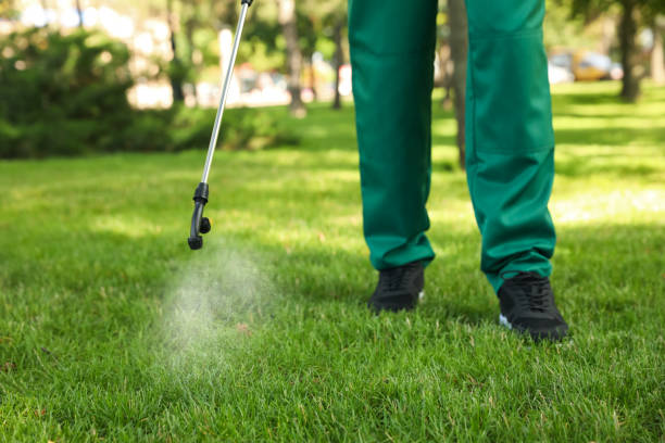 Best Affordable Pest Control Services  in Johnson Lane, NV